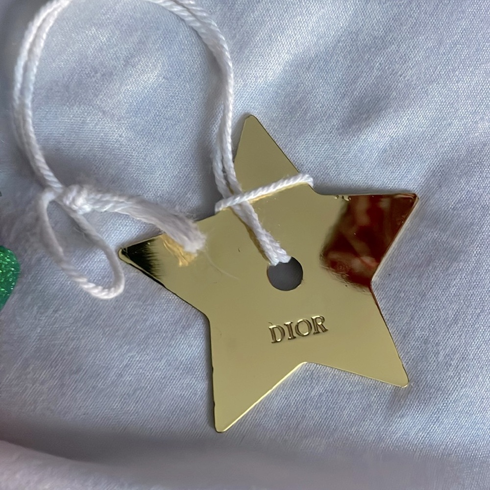 Dior charm